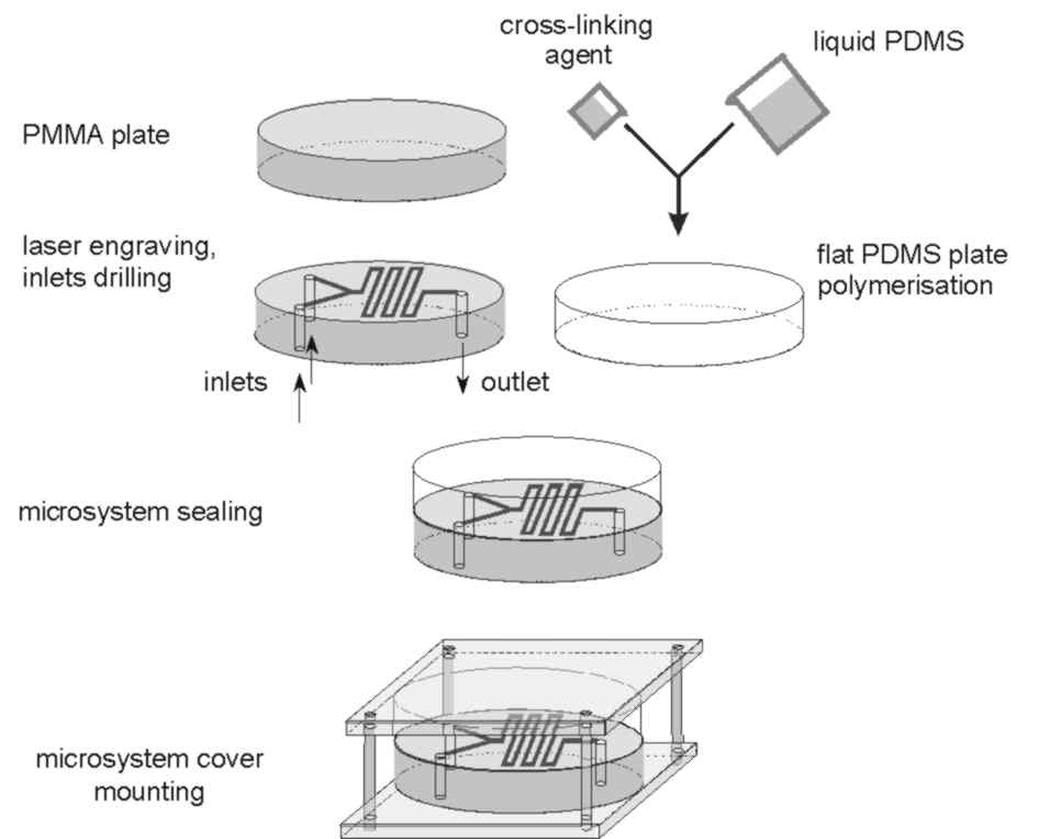 polym5